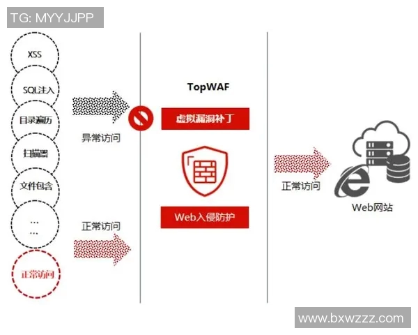 运动数据南京攀岩队的区域防守策略与技术深度解析